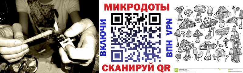Галлюциногенные грибы Magic Shrooms  где продают наркотики  Вологда 